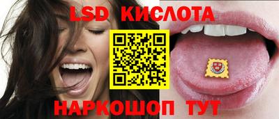 шишки Славгород