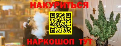 шишки Славгород