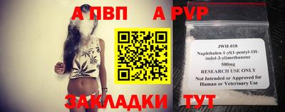 шишки Славгород